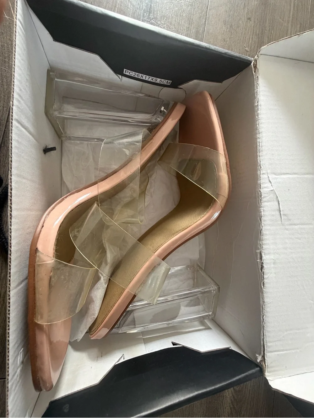 Women’s Clear Strap Pointed Toe Pumps in Blush